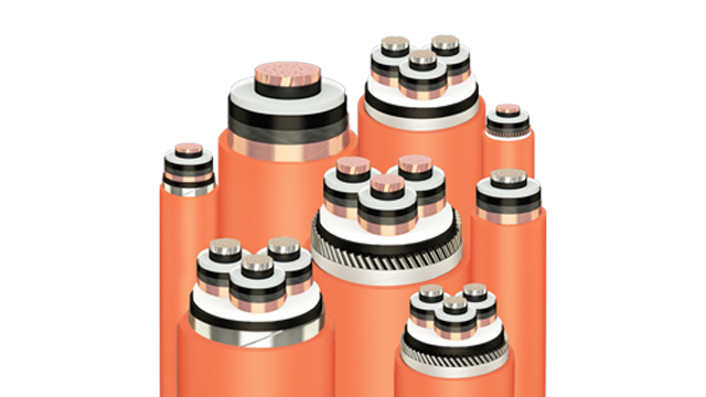 Dây cáp điện Cu/XLPE/DSTA/PVC 3 x 16 + 1 x 10mm2